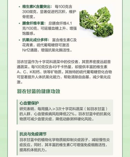 羽衣甘蓝加奇亚籽的功效与食用安全指南