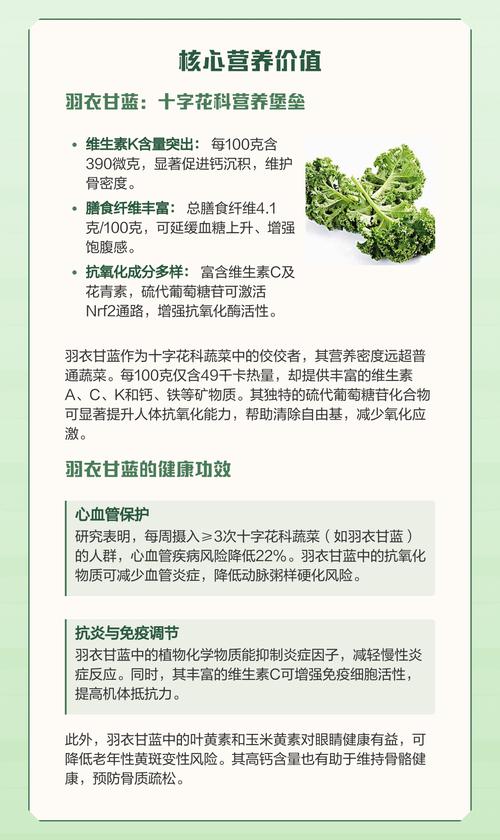 羽衣甘蓝加奇亚籽的功效与食用安全指南 羽衣甘蓝加奇亚籽的功效与食用安全指南