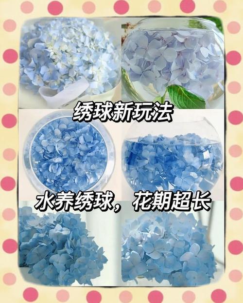 修剪：分“花后剪”和“休眠剪”，别剪错时机