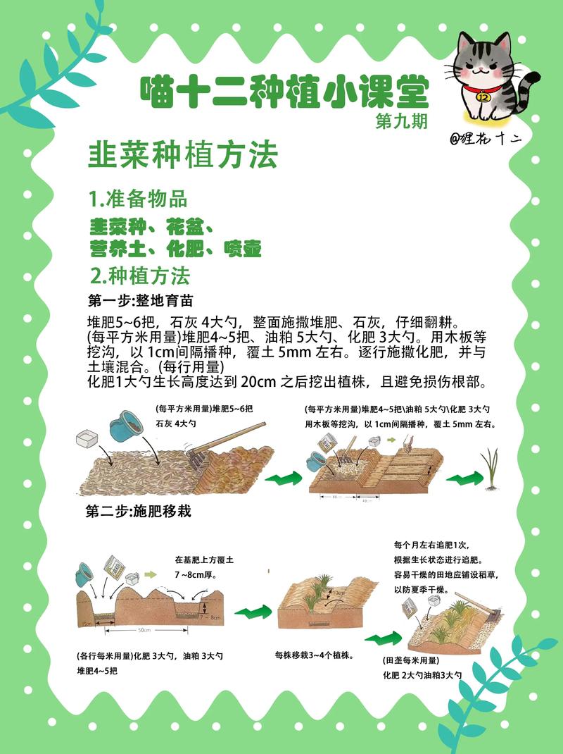 韭菜籽种植方法全攻略:从播种到成苗,每一步都讲清楚 二、土壤环境准备