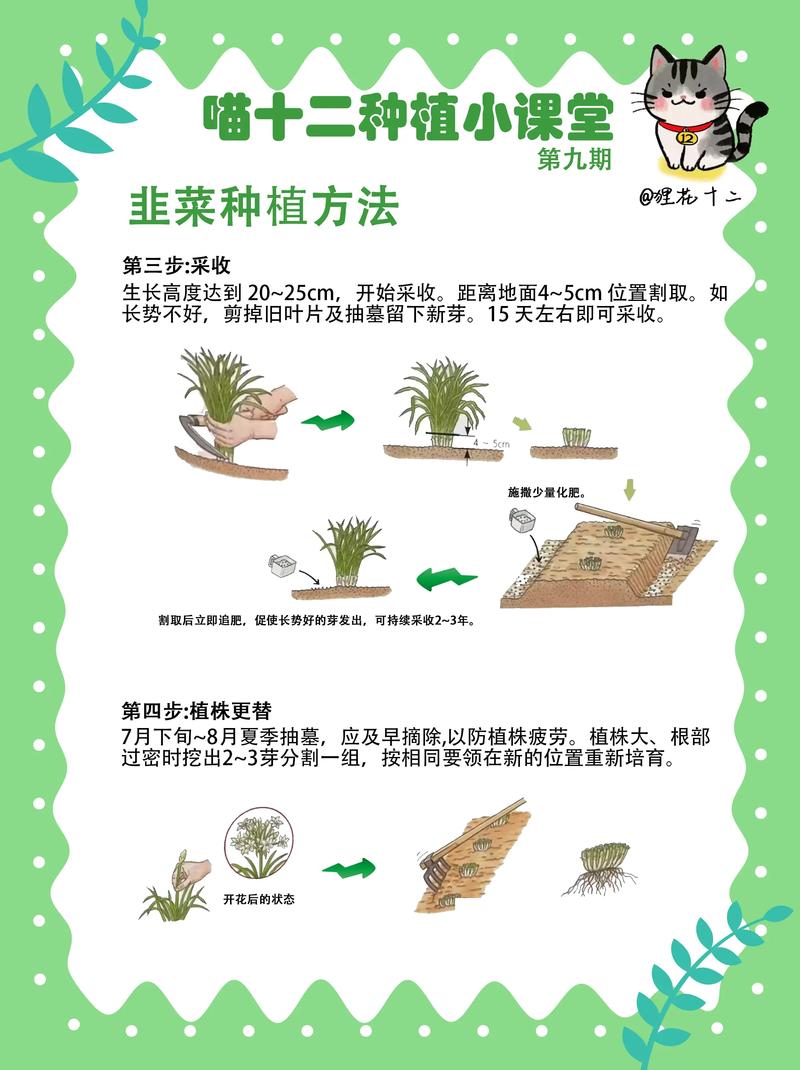 韭菜籽种植方法全攻略:从播种到成苗,每一步都讲清楚 一、适宜播种时间