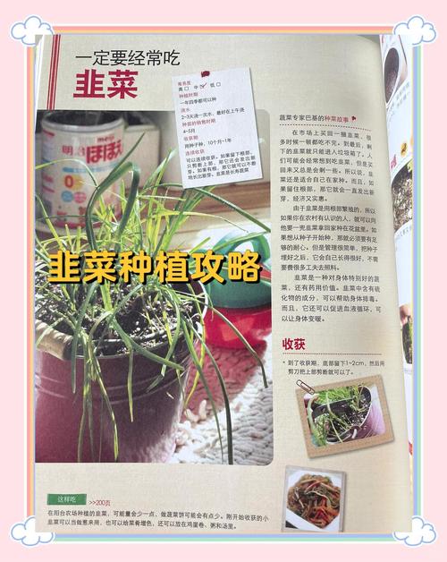 韭菜籽种植方法全攻略:从播种到成苗,每一步都讲清楚 六、苗期管理