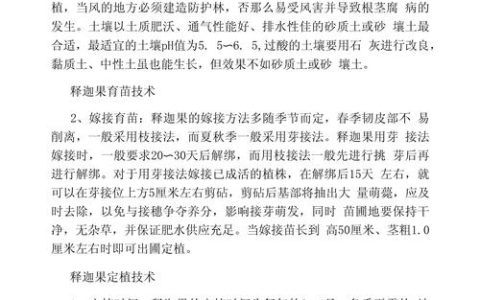 释迦果如何种植？从选时到成活的七步操作指南