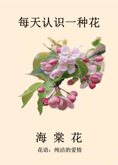女人像海棠花什么意思?从花语寓意到养护全解析 修剪促花系统指导