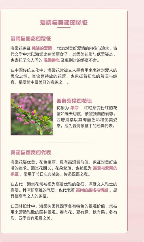 女人像海棠花什么意思?从花语寓意到养护全解析 盆栽与地栽选择决策