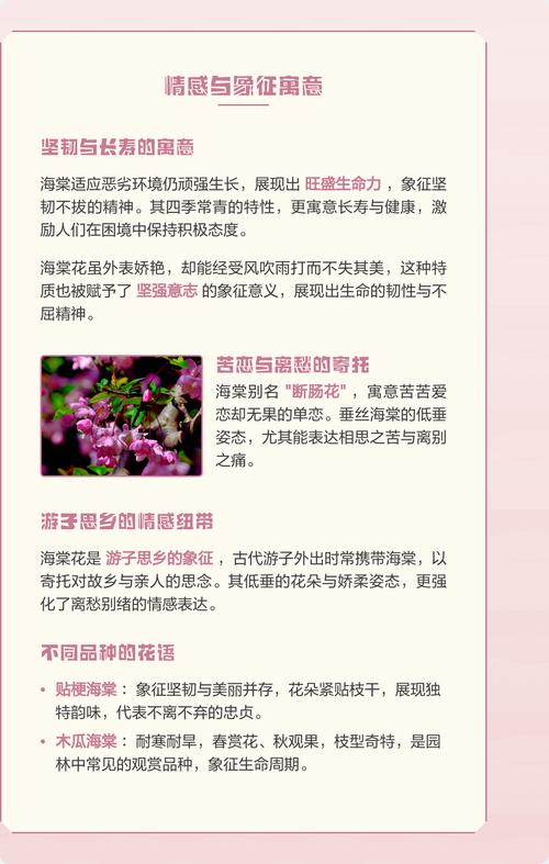 女人像海棠花什么意思?从花语寓意到养护全解析 越冬与越夏管理(分气候带)
