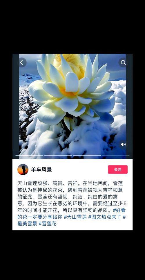 三、如何打造“五雪”冬季花园？