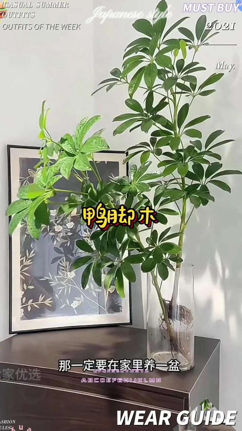 常见问题（FAQ）