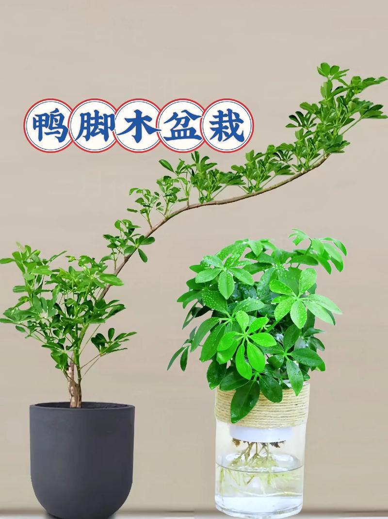 总结