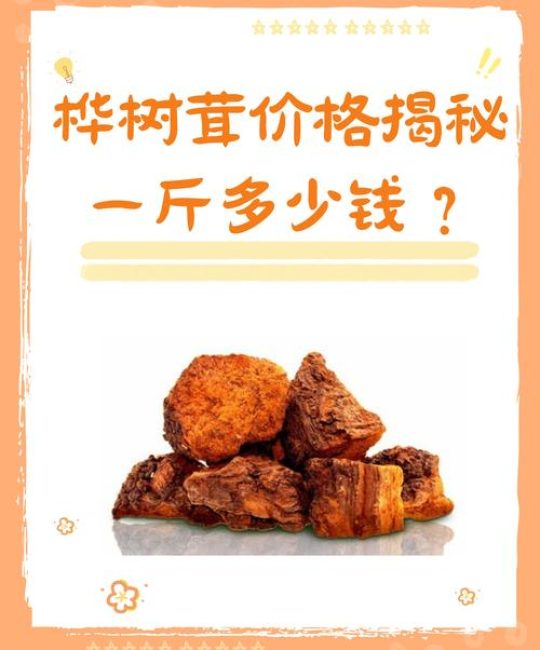 桦树茸大概多少钱