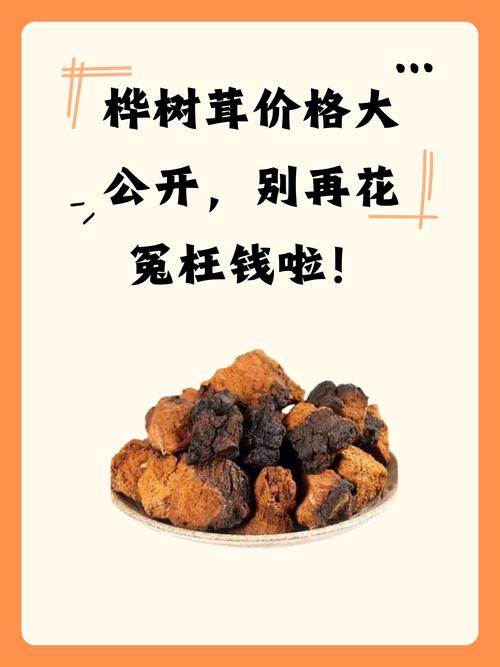 规格因素