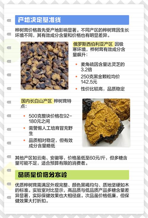 价格参考表格