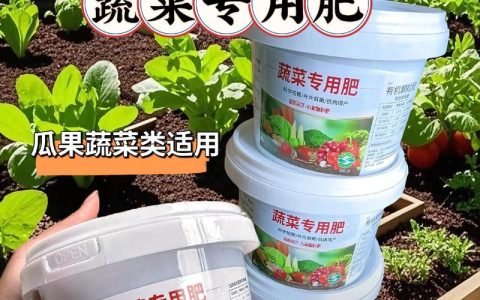 家庭种植生菜，选对肥料是关键