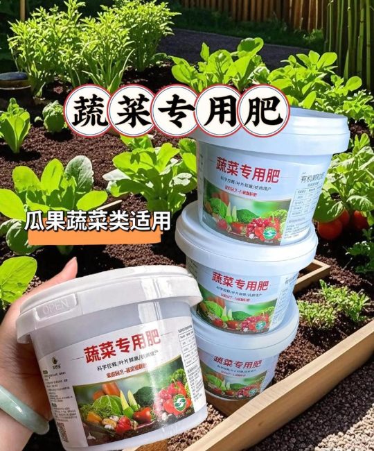 家庭种植生菜，选对肥料是关键