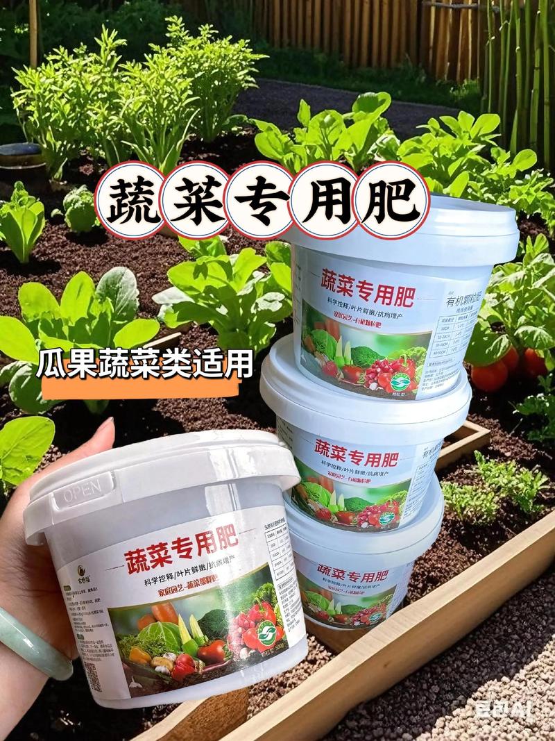 家庭种植生菜,选对肥料是关键 家庭种植生菜,选对肥料是关键