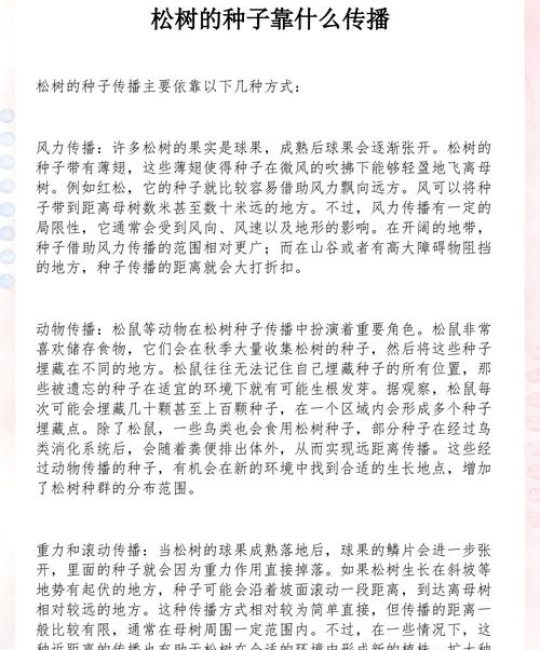 松树靠什么传播种子？松树种子播种与种植技术全指南