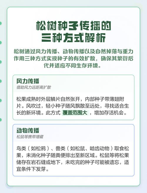 松树靠什么传播种子?松树种子播种与种植技术全指南 三、栽前处理(种子催芽与消毒)