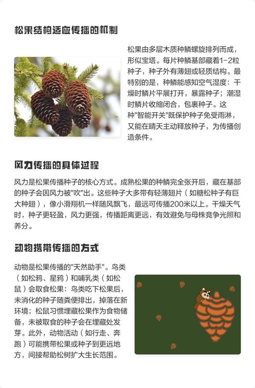 松树靠什么传播种子?松树种子播种与种植技术全指南 二、土壤环境准备