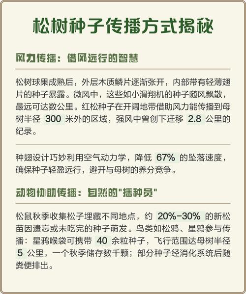 松树靠什么传播种子?松树种子播种与种植技术全指南 五、浇定根水