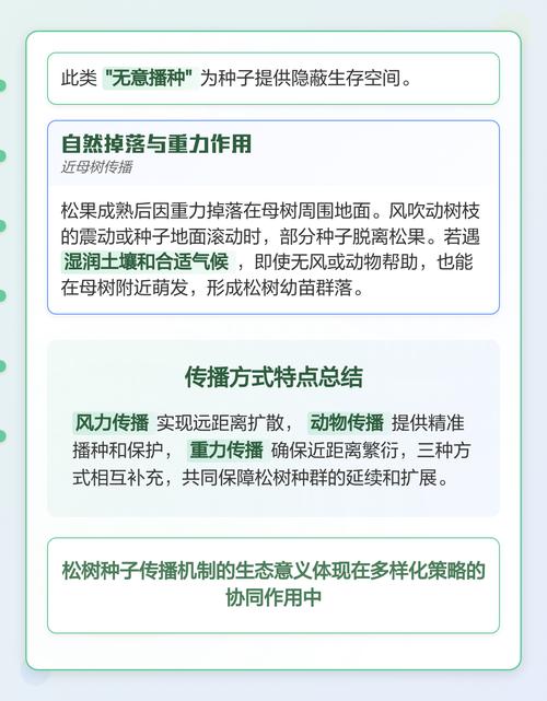 松树靠什么传播种子?松树种子播种与种植技术全指南 四、播种栽植深度