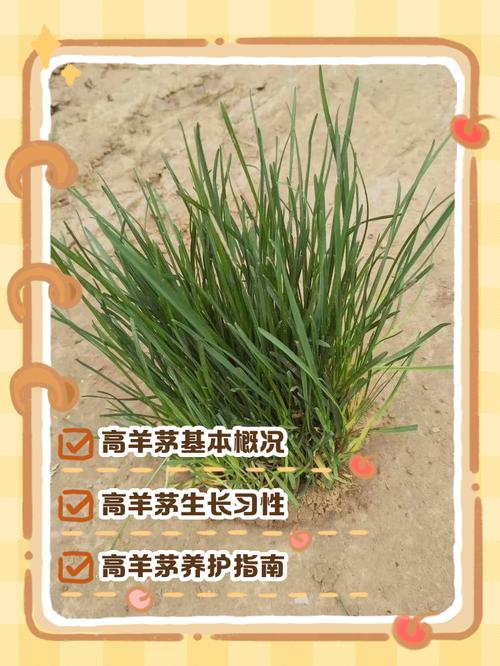 五、总结