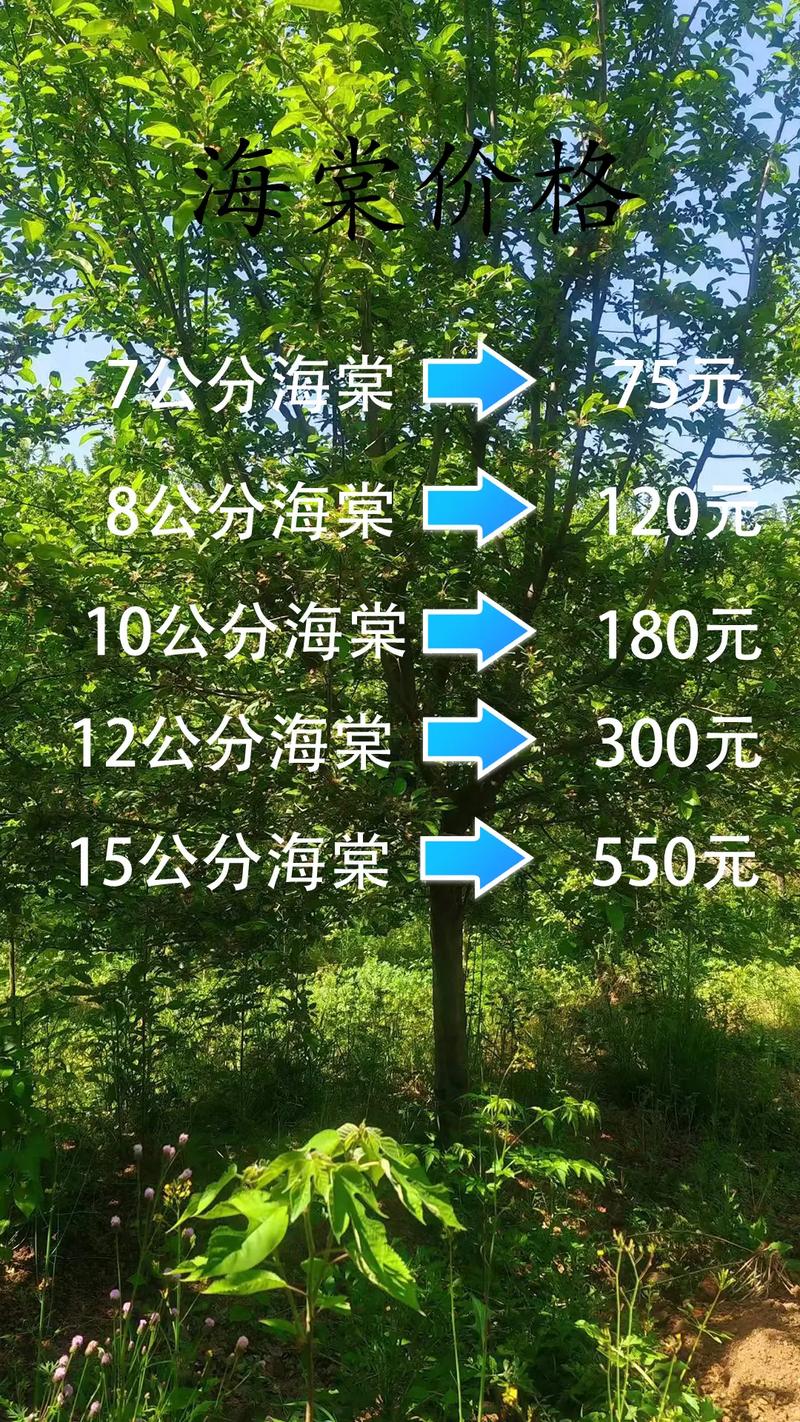 鲜花多少钱价格?2024年最新市场参考区间与影响因素全解析 价格对比表格:不同场景下的鲜花价格参考区间