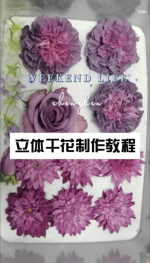 腊梅花怎么晒干?家庭园艺干花制作全攻略 四、保存与使用