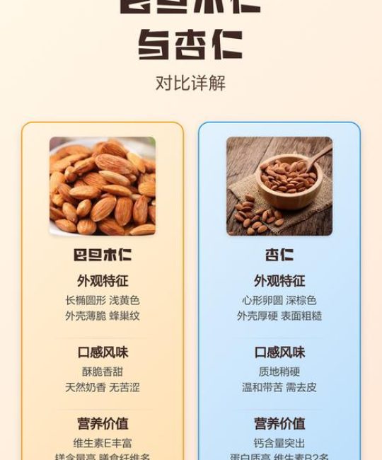 杏仁与巴旦木的区别：植物学分类、外观特征及选购指南