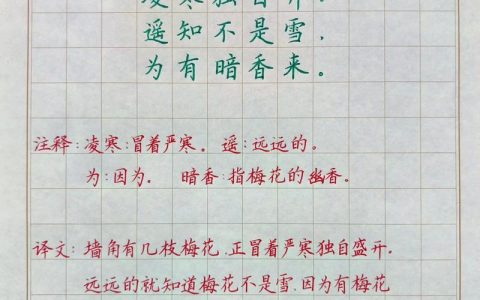 关于梅花的诗有哪些？小学阶段必读的梅花诗词精选