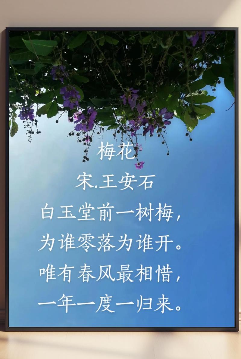 关于梅花的诗有哪些?小学阶段必读的梅花诗词精选 四、最充满乐观精神的梅花词:毛泽东《卜算子·咏梅》