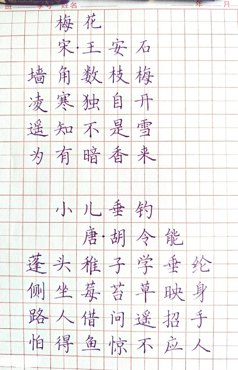 关于梅花的诗有哪些?小学阶段必读的梅花诗词精选 二、最有画面感的梅花诗:卢钺《雪梅》