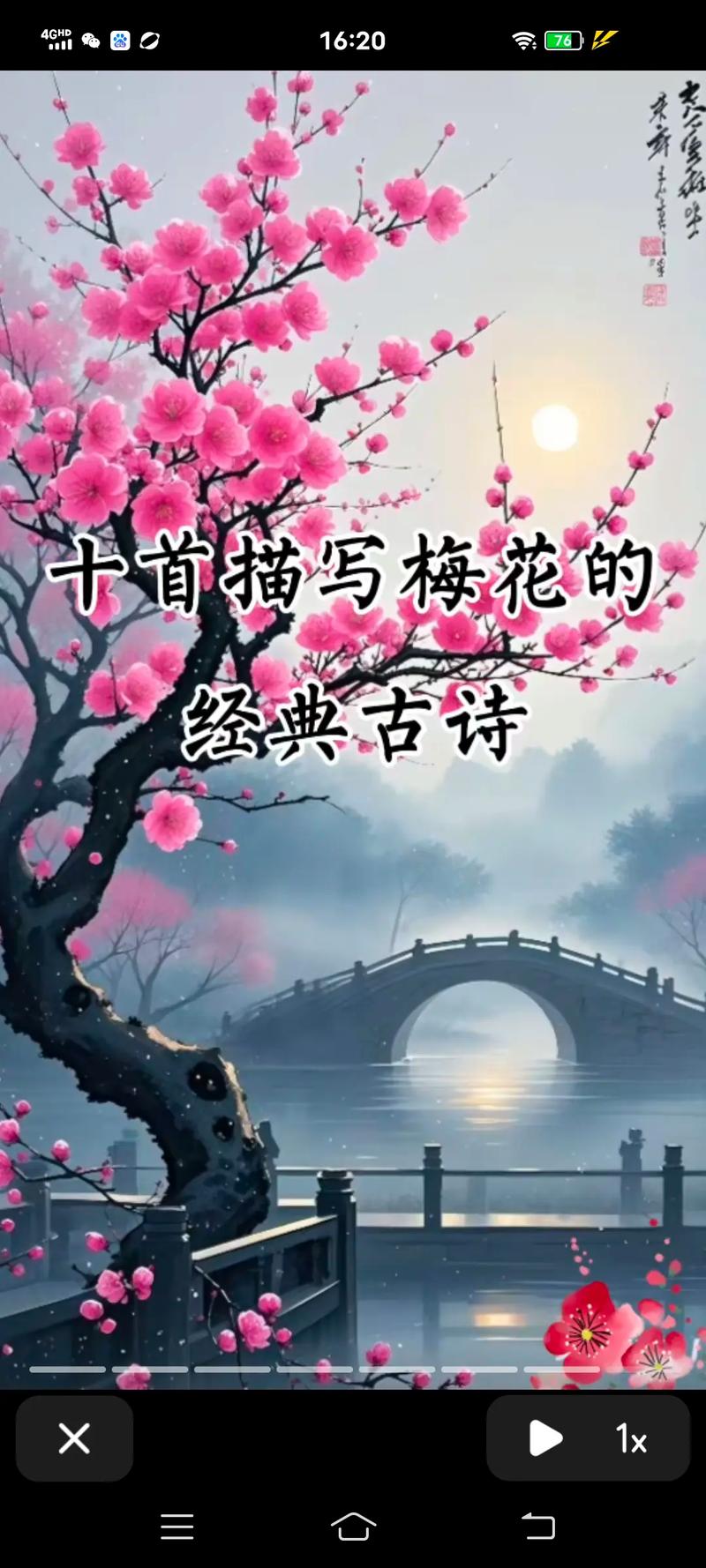 关于梅花的诗有哪些?小学阶段必读的梅花诗词精选 总结