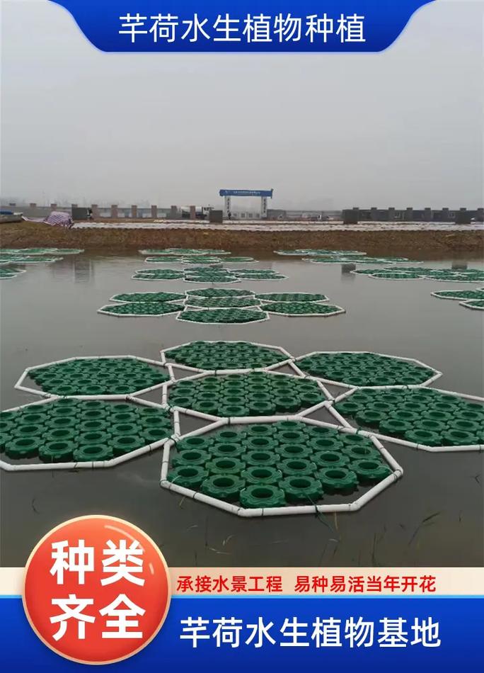 总结