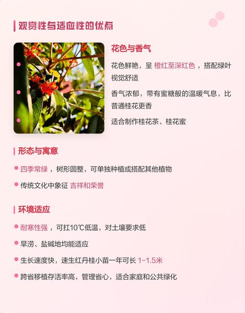 不开花或开花少的常见原因与解决