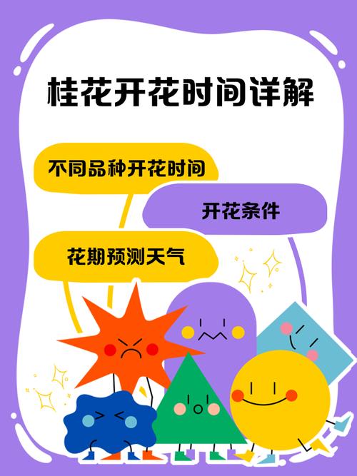 总结