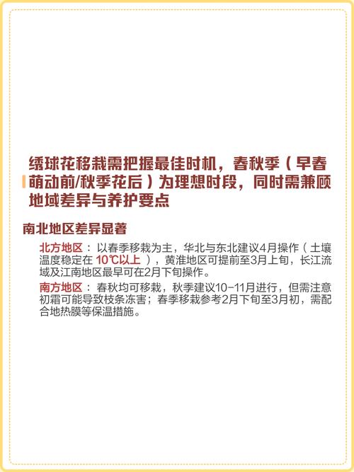 绣球花移植什么时候最好?专家详解最佳时机与操作全攻略 FAQ