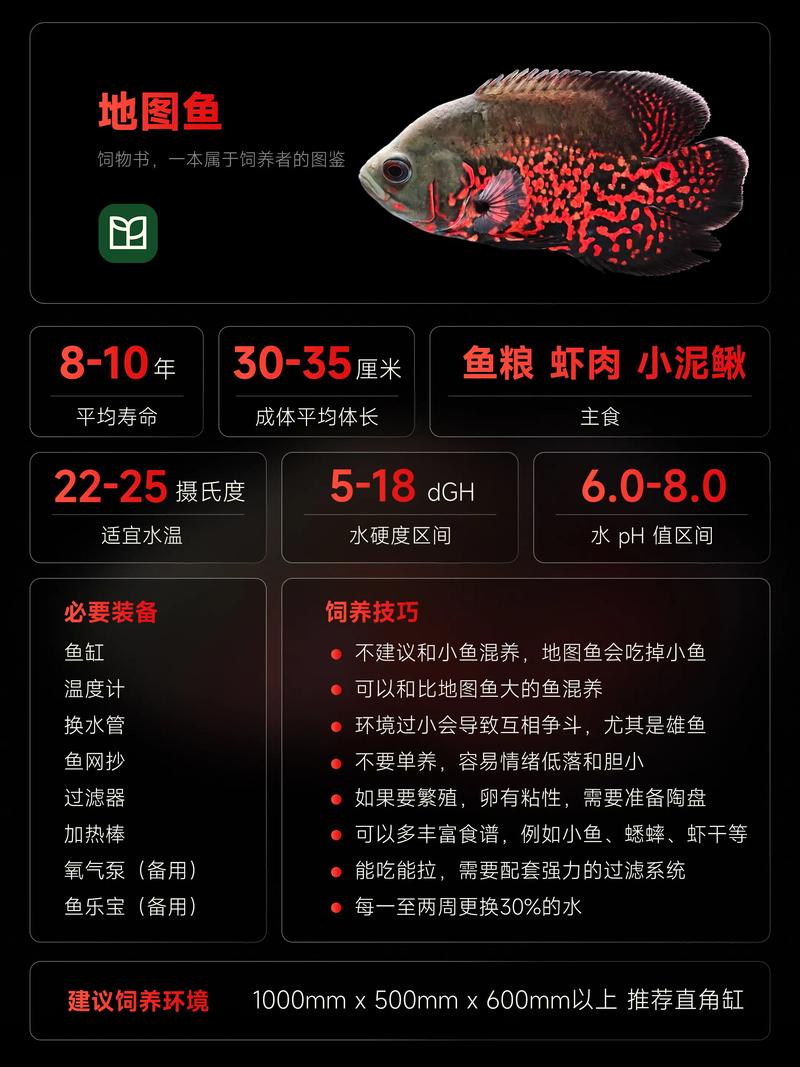 草缸里适合养什么鱼?新手到进阶都能参考的草缸选鱼指南 五、草缸养鱼的几个实用建议
