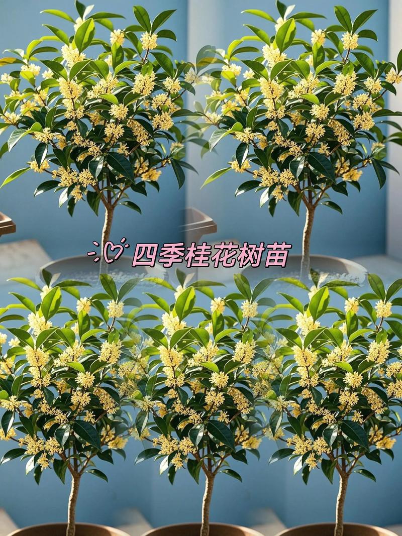 综合评估与决策建议