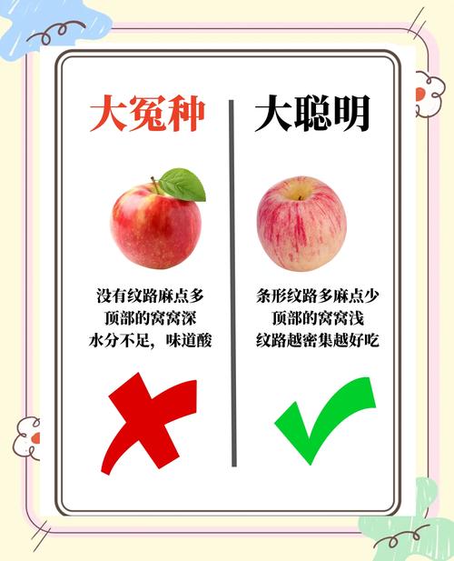 三、栽前处理：种苗“体检”不能省
