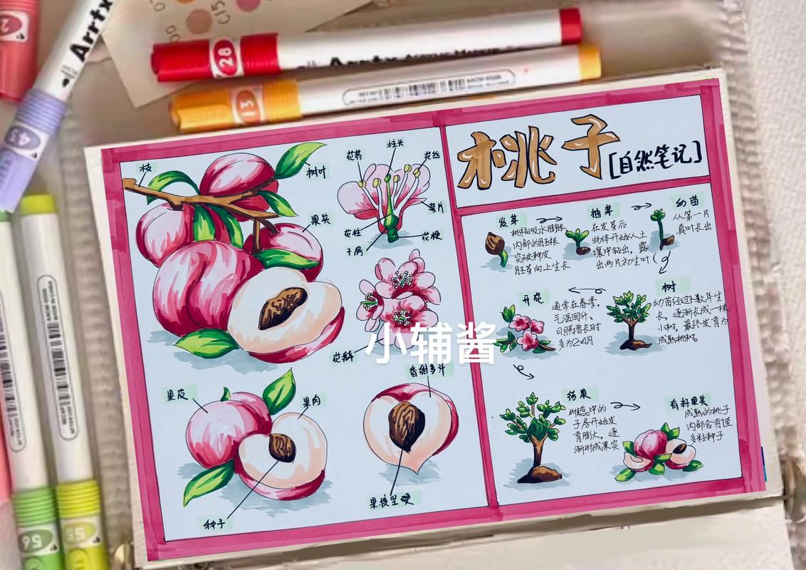 二、土壤环境：桃树怕涝，排水是头等大事