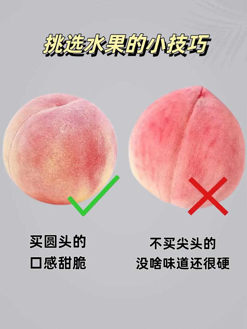 六、缓苗管理：头两周是关键期