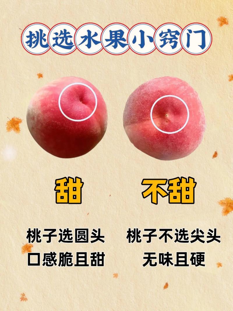 七、成活注意事项：成活后别急着松气