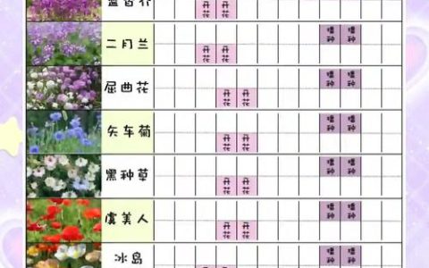 漏斗花种子播种全攻略：从选时到成苗，手把手教你种出梦幻花园