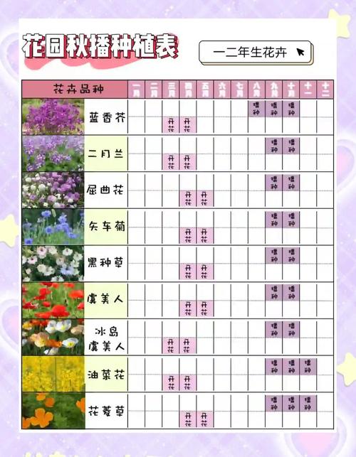 漏斗花种子播种全攻略:从选时到成苗,手把手教你种出梦幻花园 一、适宜时间