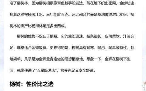 养金蝉一亩种多少棵柳树好？栽植密度与规格速查表