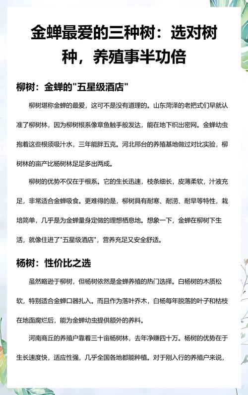 养金蝉一亩种多少棵柳树好?栽植密度与规格速查表 为什么是这个密度?——金蝉养殖对柳树栽植的核心要求