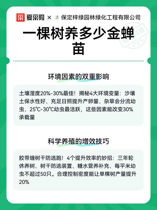 养金蝉一亩种多少棵柳树好?栽植密度与规格速查表 栽植后关键管理:密度与规格的维护