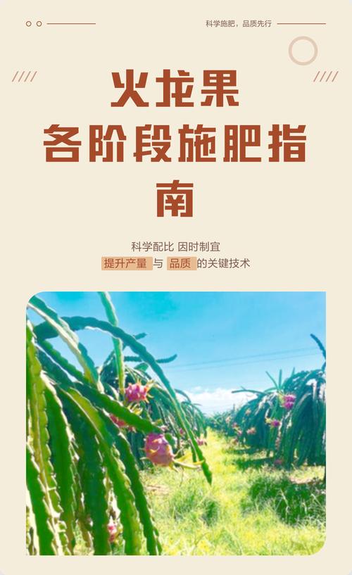 火龙果不会开花施什么肥好?专家教你促花施肥技巧 影响火龙果开花结果的关键因素