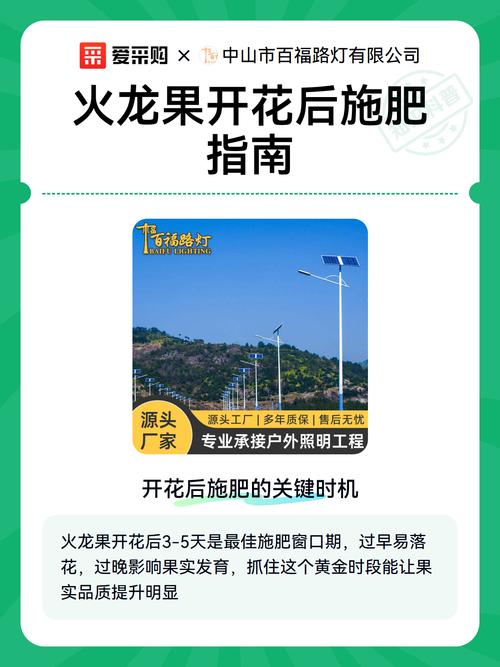 火龙果不会开花施什么肥好?专家教你促花施肥技巧 促花促果养护步骤(可执行方案)