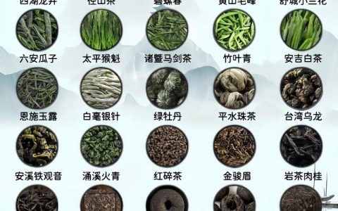 茶叶有哪几种？一文读懂中国六大茶类的区别与选择